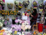 Flower Market, Mong Kok, Kowloon, Hong Kong, China Photographic Print by Amanda Hall