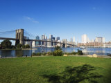 Brooklyn Bridge and Manhattan Skyline, Brooklyn Bridge Park, New York City, USA Photographic Print by Amanda Hall