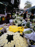 Flower Market, Mong Kok, Kowloon, Hong Kong, China Photographic Print by Amanda Hall