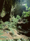 Looking out Through Entrance of Cave, Deer Cave, Gunung Mulu National Park, Sarawak Photographie par Lousie Murray