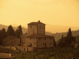Farms and Vines, Tuscany, Italy Photographic Print by J Lightfoot