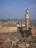 Piazza Del Campo and Mangia Tower, Unesco World Heritage Site, Siena, Tuscany, Italy Photographic Print by Roy Rainford