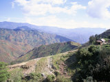 Terraces on Slopes of Mountain Interior at 1800M Altitude, Bois d'Avril, Haiti, West Indies Photographie par Lousie Murray