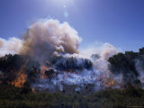 Bush Fire, St. Francis, Eastern Cape, South Africa, Africa Photographie par Lousie Murray