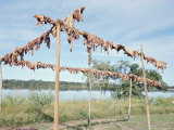 Wild Boar Meat Hanging to Dry, Diararum Xingu National Park, Brazil, South America Lámina fotográfica por Robin Hanbury-tenison Wild Boar Meat Hanging to Dry, Diararum Xingu National Park, Brazil, South America Lámina fotográfica por Robin Hanbury-tenison