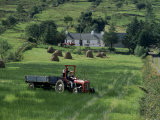 Croft with Hay Cocks and Tractor, Glengesh, County Donegal, Eire (Republic of Ireland) Fotografie-Druck von Duncan Maxwell