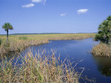 Everglades National Park, Unesco World Heritage Site, Florida, USA Photographic Print by J Lightfoot