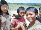 Gorotire Indian Girls with Coati, Brazil, South America Photographic Print by Robin Hanbury-tenison