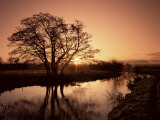 Sunrise Over the River Wey, Send, Surrey, England, United Kingdom Photographic Print by Roy Rainford