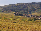 Vineyards, Hunawihr, Alsace, France Photographic Print by John Miller