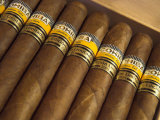 Close-Up of Limited Edition Cigars in a Box, Cohiba, Havana, Cuba, West Indies, Central America Lámina fotográfica por Eitan Simanor