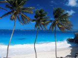 Bottom Bay, Barbados, West Indies, Caribbean, Central America Photographie par John Miller