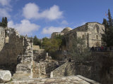 Bethesda Pool with St. Anne Church in the Background, Old City, Jerusalem, Israel, Middle East Photographic Print by Eitan Simanor