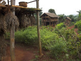 View of Village with Typical Bamboo Houses and Drying Peas, Poattap Poap, Shan State, Myanmar Photographic Print by Eitan Simanor