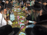 Crowd of Orthodox Jews Buying the Etrog for the Lulav, Four Types Market, During Sukot, Israel Photographic Print by Eitan Simanor
