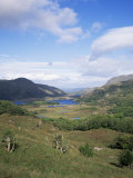 Ladies View, Ring of Kerry, Killarney, County Kerry, Munster, Eire (Republic of Ireland) Fotografie-Druck von Roy Rainford