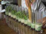 Row of Glasses on a Bar with Barman Preparing Mojito Cocktails, Habana Vieja, Havana, Cuba Photographie par Eitan Simanor