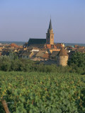 Bergheim and Vineyards, Alsace, France Photographie par John Miller