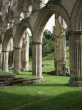 Rievaulx Abbey, North Yorkshire, England, United Kingdom Photographic Print by Roy Rainford