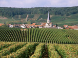Chamery, Montagne De Reims, Champagne, France Photographic Print by John Miller