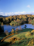 Tarn Hows, Lake District National Park, Cumbria, England, United Kingdom Photographic Print by Roy Rainford