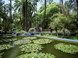 Jardin Majorelle, Marrakech (Marrakesh), Morocco, North Africa, Africa Photographie par Simon Harris