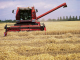 Combine Harvester in Field, Nottinghamshire, England, United Kingdom Photographic Print by Mark Mawson