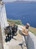 Animal Transport, Santorini (Thira), Cyclades Islands, Greek Islands, Greece Photographic Print by Michael Short