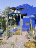 Jardin Majorelle, Marrakech (Marrakesh), Morocco, North Africa, Africa Photographic Print by Bruno Morandi