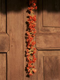 Garland on a Church Door, Candolim, Goa, India Photographic Print by Michael Short