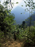 Jungle, Sierra Nevada, Colombia, South America Photographic Print by Jane O'callaghan