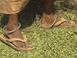 Female Farmer's Feet Standing on Henna Leaves, Village of Borunda, India Photographic Print by Eitan Simanor