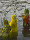 Three Women Pilgrims in Saris Making Puja Celebration in the Pichola Lake at Sunset, Udaipur, India Lámina fotográfica por Eitan Simanor