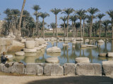 Memphis, Egypt, North Africa, Africa Photographic Print by John Ross