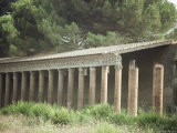 Great Palaestra, Pompeii, Unesco World Heritage Site, Campania, Italy Photographic Print by Ian Griffiths