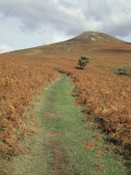 The Sugar Loaf, in Autumn, Black Mountains Near Abergavenny, Monmouthshire, Wales Photographic Print by David Hunter