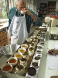 Ravi Kidwai, Tea Specialist, Tasting and Assessing Tea, Kolkata Lámina fotográfica por Eitan Simanor