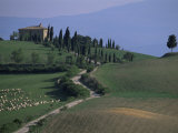 House and Cypress Trees, Val d'Orcia, Siena Provice, Tuscany, Italy Photographic Print by Bruno Morandi