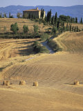Rolling Landscape in Siena Province, Tuscany, Italy Photographic Print by Bruno Morandi