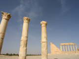 Colonnades, Archaelogical Ruins, Palmyra, Unesco World Heritage Site, Syria, Middle East Photographic Print by Christian Kober
