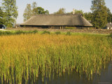 Traditional Thatched Roof Farmhouse, National Open Air Museum, Rocca Al Mar, Tallinn, Estonia Photographic Print by Christian Kober
