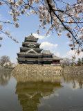 Cherry Blossoms, Matsumoto Castle, Matsumoto City, Nagano Prefecture, Honshu Island, Japan,Asia Photographic Print by Christian Kober