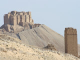Qala'At Ibn Maan Citadel Castle, Palmyra, Syria, Middle East Photographic Print by Christian Kober