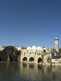 Mosque and Water Wheels on the Orontes River, Hama, Syria, Middle East Photographic Print by Christian Kober