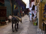 Donkey in David Street Tourist Market, Old Walled City, Jerusalem, Israel, Middle East Photographic Print by Christian Kober
