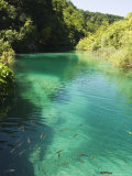 Small Fish in Turquoise Lake, Plitvice Lakes National Park, Unesco World Heritage Site, Croatia Photographic Print by Christian Kober