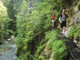 Hikers on Steel Ladders, Slovensky Raj, Slovakia Photographic Print by Christian Kober Hikers on Steel Ladders, Slovensky Raj, Slovakia Photographic Print by Christian Kober