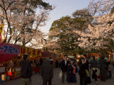 Cherry Blossom Viewing Hanami, Kanazawa City, Honshu Island, Japan Photographic Print by Christian Kober