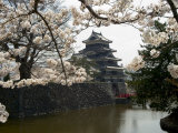 Cherry Blossoms, Matsumoto Castle, Matsumoto City, Nagano Prefecture, Honshu Island, Japan Photographic Print by Christian Kober