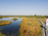 Tourists on Boardwalk Trail Through Protected Land of Bogs and Marshes, Latvia Photographic Print by Christian Kober